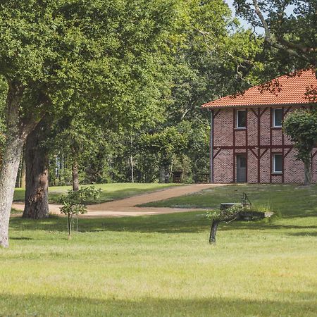 Maison Montaut Onesse-et-Laharie Exteriér fotografie